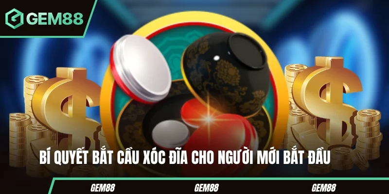 Các dạng cầu thường được theo dõi trong Xóc Đĩa
